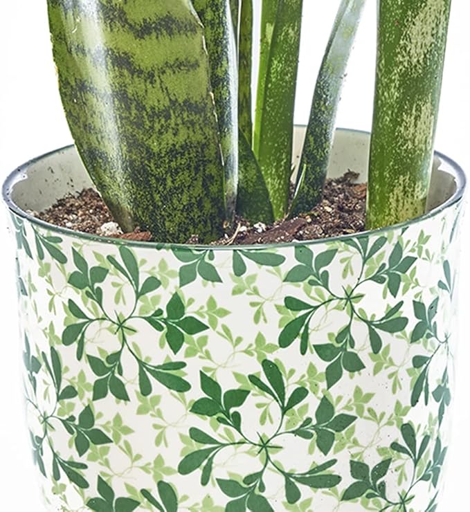 CHIVE ‘Liberte’ Ceramic Succulent Pots — 4.25” Cute Vintage Farmhouse Style Planters for Indoor Plants — Beautiful Home & Kitchen Decor — Green Leaves