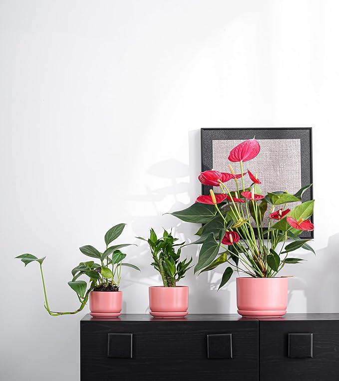 Ton Sin Plant Pots, 4.1+5.1+6.5 inch, Set of 3, Ceramic Planters with Drainage Hole and Saucer, Indoor Flower Pot Gifts for Mom(Matte Orange)