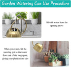 Hamiledyi 50 oz/1500 ml Stainless Steel Watering Can with Long Spout Metal Watering Can Indoor Outdoor Flower Watering Pot for Garden Orchid Bonsai Office Desk Plants (Golden)
