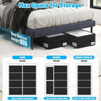 2 Pack Under Bed Storage with Wheels 10" Height, Rolling Storage Bins XXL 60L, Underbed Shoe Storage Containers with Label & Clear Lid, Dorm Under bed Drawers for Clothes, Shoes, Quick Assembly, Black