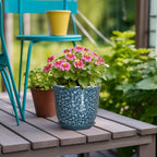 Ceramic Pots for Plants - 5.6 Inch Plant Pot for Indoor Outdoor, Round Succulent Orchid Pot with Drainage Hole and Saucer, Modern Small Flower Pot, Room Home Decor, Plant Lover Gifts, Blue
