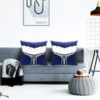 Decorative Throw Pillow Covers Set of 2 Whale Caudal Fin Pillow Covers 18x18 inch Super Soft Short Plush Square Throw Pillows,Farmhouse Outdoor Pillow Covers for Couch Sofa Bed Living Room