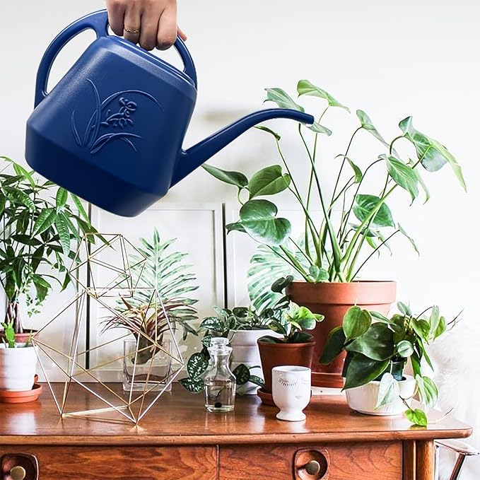 Plant Watering Can - 1/2 Gallon - Blue