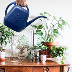 Plant Watering Can - 1/2 Gallon - Blue