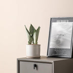 5.8 Inch Plant Pot: Ceramic Planter with Drainage Hole & Saucer - Cylinder Round Flowerpot for Indoor & Outdoor Plants - with Separate Tray for Home & Office - Retro Style, Grey