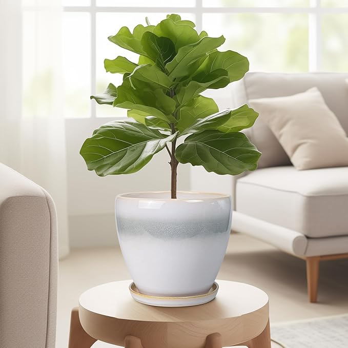 6 Inch Plant Pot - Ceramic Planters for Indoor Ourdoor Plants, Modern Succulent Pot, Round Planter with Drainage Hole and Saucer, Room Office Garden Home Decor, Plant Lover Gifts, White-Grey