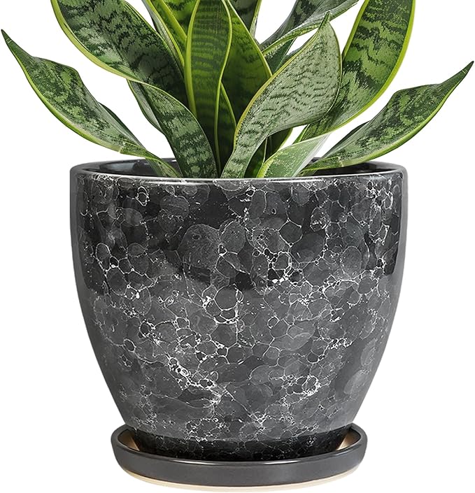 6 Inch Plant Pot - Ceramic Planter for Indoor with Drainage Hole and Saucer, Round Succulent Pot, Modern Flower Planters, Home Room Garden Office Decor, Gardening Gifts for Women, Grey