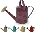 Robert Allen MPT01185 Metal Watering can, 1 Gallon, Stormy Purple