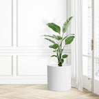 10 Inch Large Plant Pots for Indoor Outdoor Plants, Cylinder Deep Flower Pots with Drainage Holes and Saucer, Big Decorative Plastic Planter Pots for Garden House Plants, White