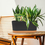 QCQHDU 16" L x 7.6" W x 7" H Window Planter Box, 2 Pack Self Watering Pots for Indoor Plants with Drainage Holes & Saucer, Outdoor Flower Pots Home Garden Modern Decor