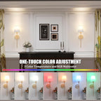 Battery Operated Wall Sconces Set of 2, Beech Color Wall Lamp 5000 mAh Rechargeable Bulb with 12 RGB Colors Dimmable Wall Sconce for Living Room Bedroom