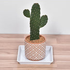 MECCANIXITY Plant Pot Saucer 7 Inch Plastic Square Flower Drip Tray for Indoor Outdoor, White Pack of 6
