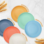 12PCS Unbreakable Dinner Plates, Dishwasher & Microwave Safe Plastic Plates Reusable, Lightweight Wheat Straw Plates for kitchen (Dopamine, 9 IN)
