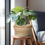 Ceramic Pot for Plants 11 Inch - Planter for Outdoor Plants Indoor Plant Pot with Drainage Hole and Saucer Large Planter Round Flower Pot for House Patio Garden Yellow