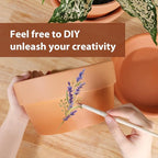 INGOFIN 8 Inch Terracotta Shallow Pots Set with Saucer - Ceramic Clay Pots with Drainage Hole, Terra Cotta Pot for Plants for Indoor Outdoor Plants, Set of 2