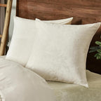 PHF Super Soft Velvet Euro Sham, 26"x 26",No Insert, 2 Pack Color Gradient Euro Pillow Covers, Ultra Cozy European Pillow Covers for Luxurious Home Decorative, No Shedding, No Pilling, Cream