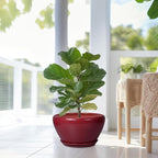 Ceramic Planter - Indoor Plant Pot with Drainage Hole and Saucer 13 Inch Large Pots for Plants Round Modern Outdoor Flower Pot Mid-Century Patio Room Decor Red