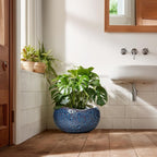 Bonsai Pots - 13 Inch Large Ceramic Planter for Indoor Outdoor, Round Decorative Plant Pots with Drainage Hole, Modern Unique Flower Pots, Patio Decor, Housewarming Gifts, Retro Blue