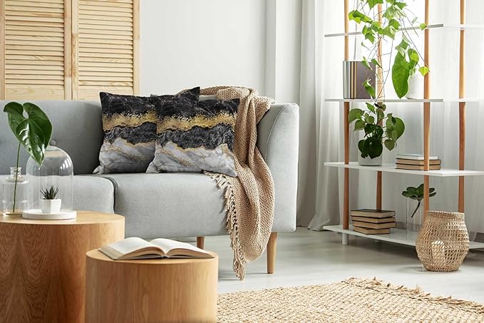 CAPSCEOLL Black Gold and White Grey Art Artwork Contemporary Decorative Gray Home Decorative Throw Pillow Covers Cushion Covers for Bedroom Sofa Living Room 16X16 Inches Set of 2