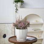 ADN Ceramic Planter - Large Plant Pot Indoor Ceramic Pots for Plants with Drainage Hole and Saucer for Home Decor, White, 8 Inch