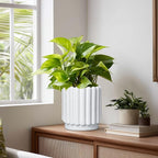 Ceramic Planters for Indoor Plants - 7.6 Inch Ceramic Plant Pots Outdoor, Round Flower Pots with Drainage Hole, Fluted Modern Planter, Room House Decor, Gifts for Plant Lovers, White