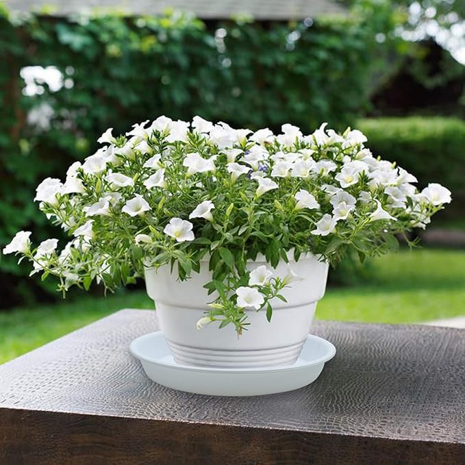 TITE 3 Pack Plant Saucer Heavy Duty Sturdy Drip Trays for Indoor and Outdoor (16 Inch, White)