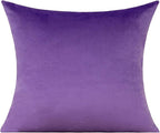 VAKADO Purple Throw Pillow Covers Decorative 16x16 Set of 2 Outdoor Decor Couch Cushion Covers Pillowcases Home Bed Decoration for Sofa Bedroom Office