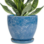 Ceramic Pots for Plants - 6 Inch Planter with Drainage Hole and Plant Tray, Decorative Succulent Pot, Round Flower Planter for Indoor, Garden Living Room Decor, Gifts for Plant Lovers, Blue