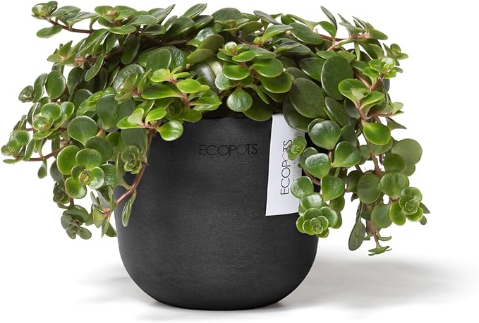 Ecopots Oslo Mini Durable Modern Round Indoor/Outdoor Recycled-Based Composite Flower Pot Planter, Dark Grey, 4.5"