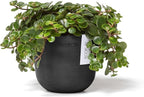 Ecopots Oslo Mini Durable Modern Round Indoor/Outdoor Recycled-Based Composite Flower Pot Planter, Dark Grey, 4.5"