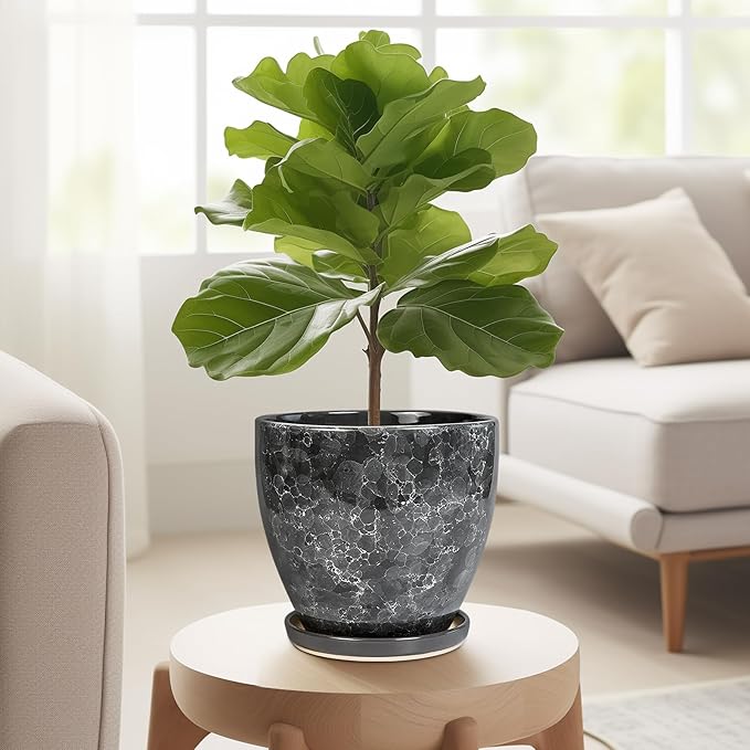 6 Inch Plant Pot - Ceramic Planter for Indoor with Drainage Hole and Saucer, Round Succulent Pot, Modern Flower Planters, Home Room Garden Office Decor, Gardening Gifts for Women, Grey