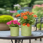 8 Inch Plant Pots - Ceramic Planter for Indoor Plants Outdoor, Round Ceramic Flower Pots with Drainage Hole and Saucer, Boho Decorative Planter, Home Bedroom Decor, Birthday Gifts, Green