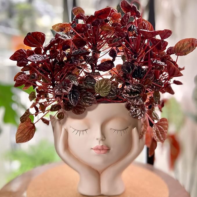 Face Planter Pots for Indoor Plants, Resin Cute Face Flower Pot for Indoor Outdoor Plants with Drainage Hole, Closed Eyes 5.3" Dia 6.3" Tall