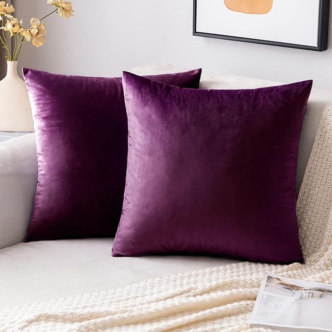 EMEMA Pack of 2 Velvet Throw Pillow Covers Decorative Square Pillowcase Soft Solid Cushion Case for Sofa Bedroom Chair Car 18x18 Inch Eggplant Purple