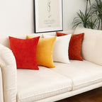 Jeneoo Burnt Orange Decorative Throw Pillow Covers Soft Chenille Comfy Square Rust Couch Cushion Cases Decor (Set of 2, 20 x 20 Inches)