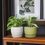 G EPGardening Indoor Plant Pot 5.5 Inch - Ceramic Planter with Drainage Hole and Saucer, Round Boho Plant Pot for Indoor Plants, Plant Lover Gifts, Home Garden Office Decor, Green