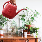 Watering Can for Indoor and Outdoor Plant - 1/2 Gallon - Wine Red
