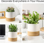 Hasense Ceramic Plant Pots Indoor Outdoor, 6 Inch Pot for Plants with Drainage Hole and Saucer, White Modern Flower Planter for Housewarming Gift