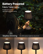 KDG Cordless Portables Table Lamp Set of 2, LED Fabric Shade Small Desk Lamps, 5000mAh Battery Powered Lighting, 2700K Stepless Dimmable Light for Living Room, Dining Room, Bedroom (Mottled Silver)