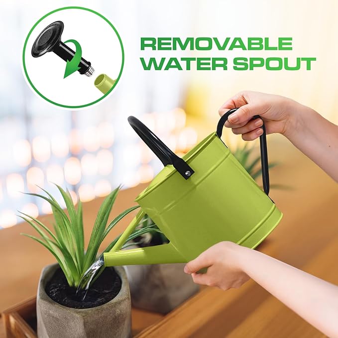 Plexon 1 Gallon Metal Watering Can Outdoor, Flower Plant Gardening Garden Large Watering Can Pot, Black Galvanized Steel Handles and Removable Spray Spout, Green