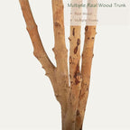 Bellacat 8ft Super Fuller Faux Olive Tree with Multiple Real Wood Trunks, 96in Olive Trees Artificial Indoor with Realistic Fruits & Leaves, Fake Olive Tree for Indoor & Outdoor Home Office Décor