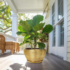 Ceramic Planter 13 Inch - Indoor Plant Pot with Drainage Hole and Saucer Large Ceramic Pot for Plants Mid-Century Decorative Modern Outdoor Flower Pot for Home Decor Gold