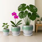 Deep Dream 6 Inch Plant Pots- Ceramic Planter Pot with Drainage Hole and Saucer, Round Flower Pot for Indoor Outdoor Succulent, Snake Plants and Cactus, White&Green