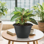 Plant Pots Indoor with Drainage, 3 Pack 11 Inch Plastic Pots for Plants（10 inch Inner Diameter）, Durable Plastic Flower Pots, Planters for Indoor Ourdoor Plants, Black