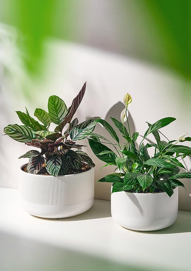 Ceramic Planters - 10+12 Inch Large Pots for Indoor & Outdoor Plants, Modern Flower Pots with Drainage Holes and Self Watering Devices, House White Big Plant Pot, Set of 2