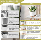 Plant Pots,12/10/9/8/ Inch Large Plastic Self Watering Flower Pots Indoor Outdoor with Drainage Holes, Deep Reservoir,Nursery Planting Pot for Indoor Out Door Plants White