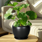 Ceramic Planter Pot - 8 Inch Plant Pot with Drainage Hole and Saucer Round Planter for Indoor Plants Modern Outdoor Flower Pot for House Balcony Black