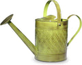 Headwind Wexley Metal Watering Can Outdoor – Tansy Green 2 Gallon Decorative Metal Watering Cans for Garden, Patio, and Indoor Plants – Durable, Stylish, and Easy to Use by Robert Allen