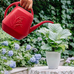 Plastic Watering Can - Wine Red Color - 1/2 Gallon