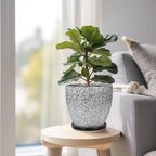 Ceramic Planter - 6 Inch Plant Pot for Indoor Ourdoor Plants, Round Succulent Planter, Decorative Flower Pots with Drainage Hole and Saucer, Home Desk Decor, Housewarming Gifts, White-Black